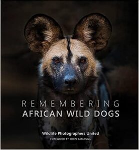 Remembering African Wild Dogs