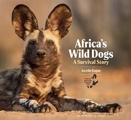 africas wild dogs