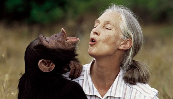 JANE-GOODALL8